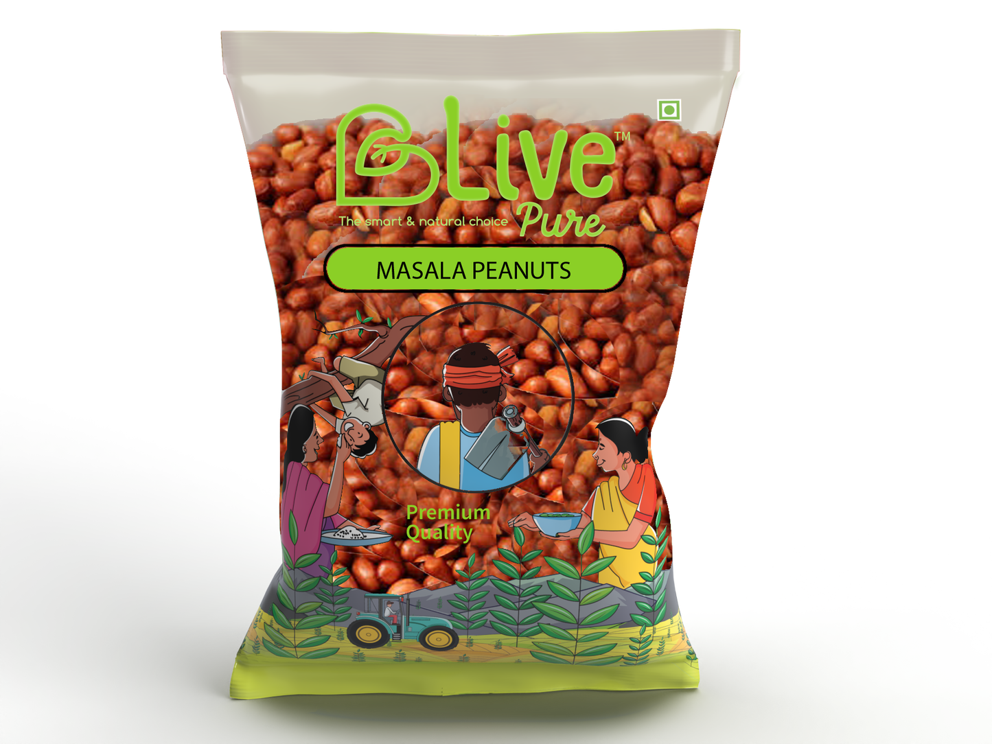 Masala Peanuts 100 Gms.